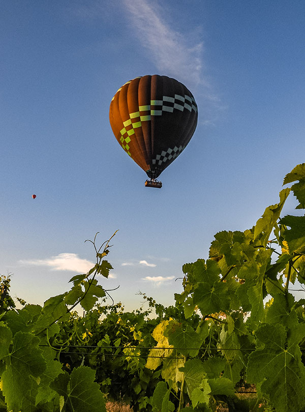 Beyond Ballooning flying over the Hunter Valley Vineyards