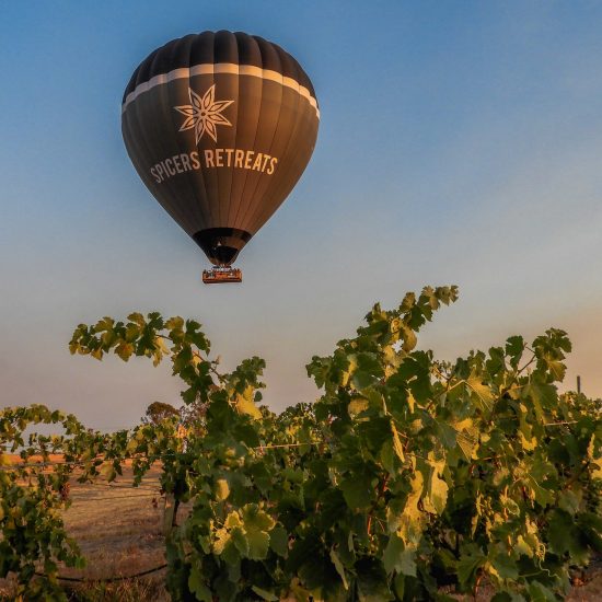 spicers retreats hot air balloon flying over a vineyard